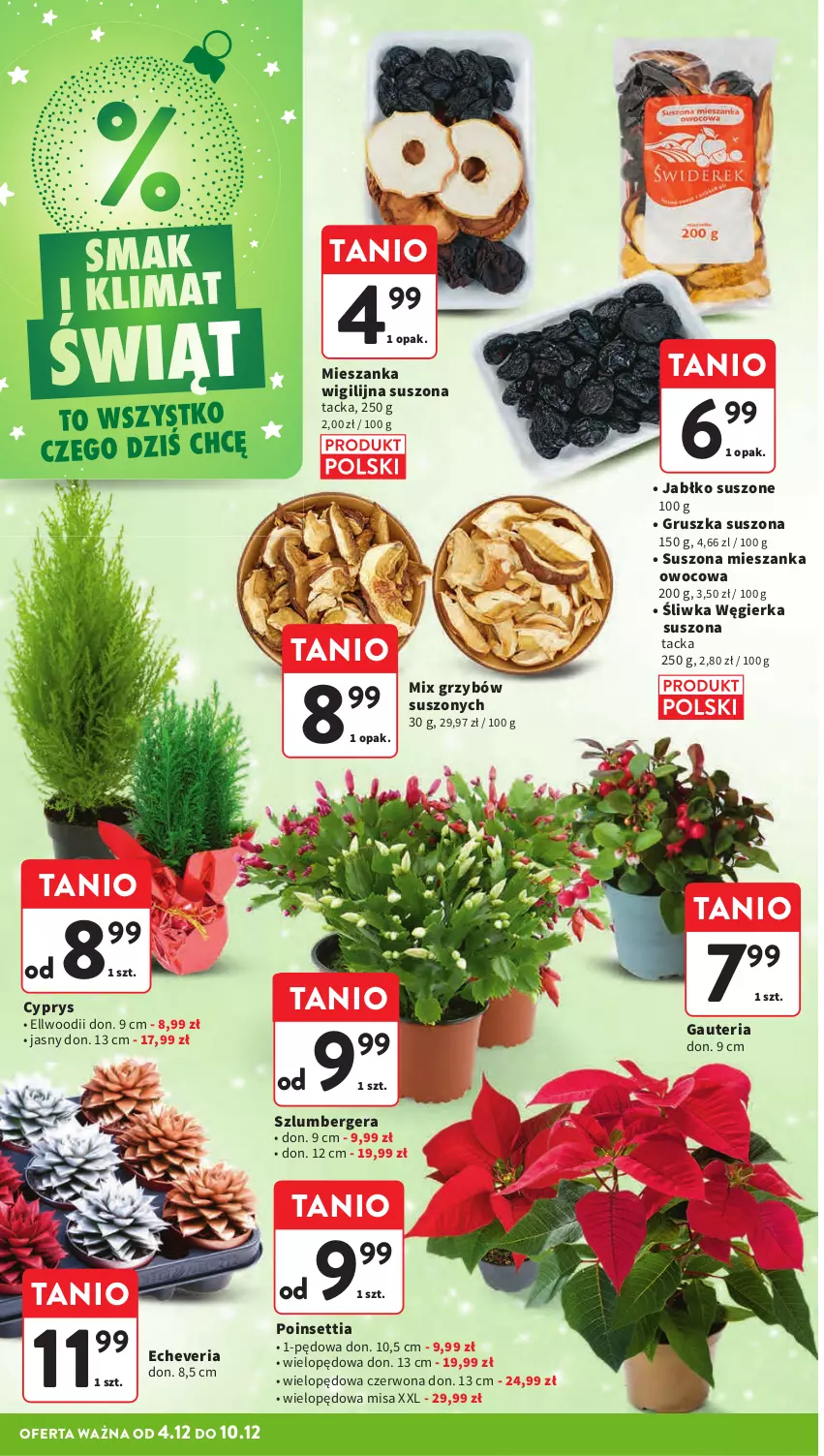 Gazetka promocyjna Intermarche - Gazeta promocyjna - ważna 04.12 do 10.12.2025 - strona 24 - produkty: Szlumbergera