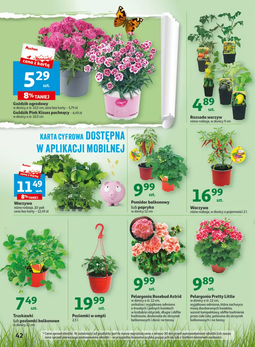 Gazetka promocyjna Auchan - Gazetka Wielkie majowe odkrycia cenowe część #3 Hipermarket Auchan - ważna 11.05 do 17.05.2023 - strona 42 - produkty: Astrid, Mobil, Papryka, Warzywa
