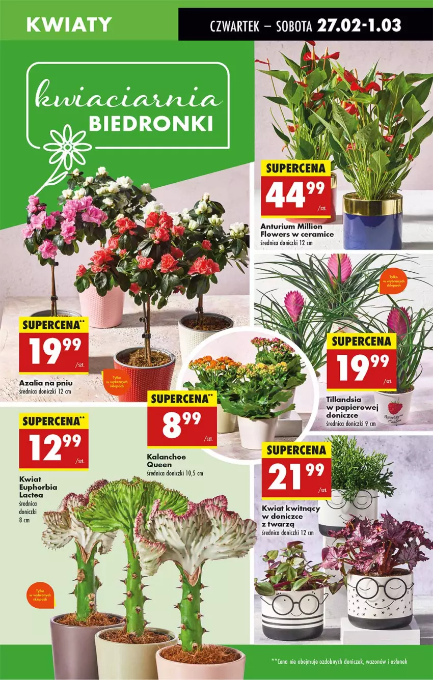 Gazetka promocyjna Biedronka - Od Czwartku - ważna 27.02 do 05.03.2025 - strona 23 - produkty: AEG, Fa, Kalanchoe, Lion, Papier, Sok