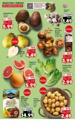 Gazetka promocyjna Kaufland - Gazetka - ważna od 04.10 do 04.10.2023 - strona 11 - produkty: Warzywa, Czosnek, Ziemniaki, Sałat, Wino, Pomidory, Grejpfrut