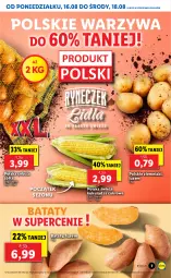 Gazetka promocyjna Lidl - GAZETKA - Gazetka - ważna od 18.08 do 18.08.2021 - strona 7 - produkty: Cebula, Warzywa, Ziemniaki, Kukurydza