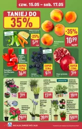 Gazetka promocyjna Aldi - Oferta weekendowa - Gazetka - ważna od 17.05 do 17.05.2025 - strona 4 - produkty: Piwo, Sok, Gra, Granat, Jeżyny, Storczyk, Brzoskwinie, Pomidory