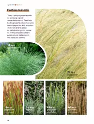 Gazetka promocyjna Castorama - Gazetka - ważna od 30.09 do 30.09.2023 - strona 178 - produkty: Gin, Gra, Rust, Laur, Miska