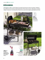 Gazetka promocyjna Castorama - Gazetka - ważna od 30.09 do 30.09.2023 - strona 84 - produkty: Por, Wózek, Preparat do czyszczenia, Piekarnik, Grill, Astor, Fa