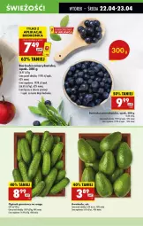 Gazetka promocyjna Biedronka - Od Wtorku - Gazetka - ważna od 26.04 do 26.04.2025 - strona 19 - produkty: Borówka, Borówka amerykańska, Ogórek, Grunt