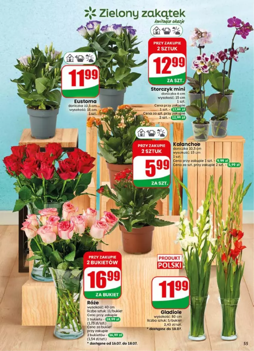 Gazetka promocyjna Dino - Gazetka 29 / 2026 - ważna 15.07 do 21.07.2026 - strona 55 - produkty: Kalanchoe, Sok