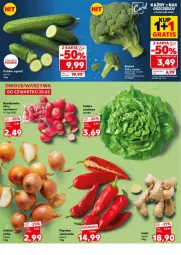 Gazetka promocyjna Kaufland - Gazetka - ważna od 26.03 do 26.03.2025 - strona 15 - produkty: Rzodkiewka, Fa