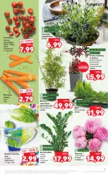 Gazetka promocyjna Kaufland - OFERTA TYGODNIA - Gazetka - ważna od 22.06 do 22.06.2022 - strona 9 - produkty: Piwo, Por, Gra, Pomidorki, Parasol, Sałat, Grunt
