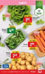 Gazetka promocyjna PoloMarket - Gazetka pomocyjna - Gazetka - ważna od 22.08 do 22.08.2023 - strona 11 - produkty: Sałata masłowa, Roszponka, Rukola, Ziemniaki, Sałat, Masło