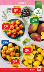 Gazetka promocyjna PoloMarket - Gazetka pomocyjna - Gazetka - ważna od 22.08 do 22.08.2023 - strona 9 - produkty: Laur, Brzoskwinie