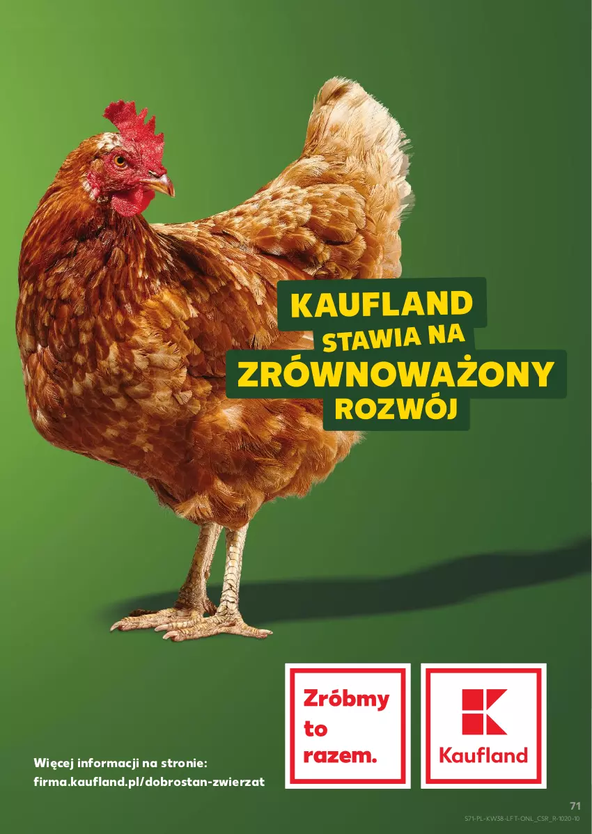 Gazetka promocyjna Kaufland - Gazetka tygodnia - ważna 19.09 do 25.09.2024 - strona 71