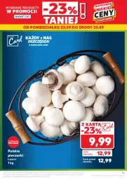 Gazetka promocyjna Kaufland - Gazetka tygodnia - Gazetka - ważna od 25.09 do 25.09.2024 - strona 73 - produkty: Piec, Grunt