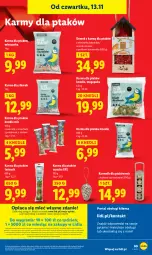 Gazetka promocyjna Lidl - GAZETKA - Gazetka - ważna od 15.11 do 15.11.2025 - strona 62 - produkty: Por, Gra, Orzeszki, Portal, Laur, Knedle, Mola, Orzeszki ziemne, Kukurydza