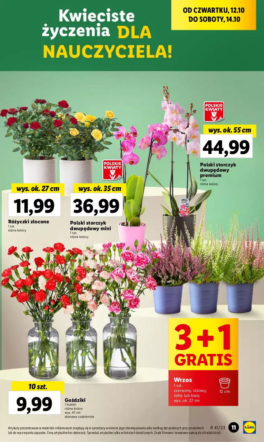 Gazetka promocyjna Lidl - GAZETKA - ważna 12.10 do 14.10.2023 - strona 21 - produkty: Bukiet, Gra, Storczyk