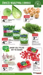 Gazetka promocyjna Intermarche - Gazetka - ważna od 10.07 do 10.07.2024 - strona 40 - produkty: Cebula, Roszponka, Czosnek, Rukola, Siatka, Sałat, Natka pietruszki, Szpinak