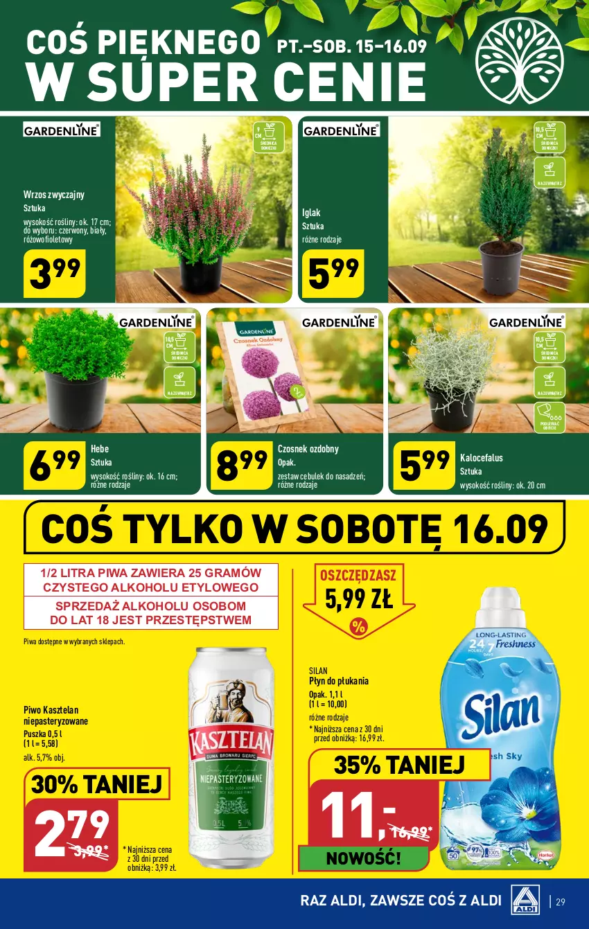 Gazetka promocyjna Aldi - Pełna oferta - ważna 11.09 do 16.09.2023 - strona 29 - produkty: Czosnek, Fa, Gra, Kasztelan, O nas, Piwa, Piwo, Płyn do płukania, Silan, Sok