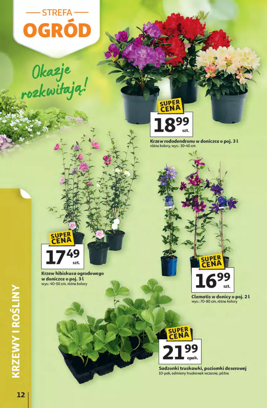 Gazetka promocyjna Auchan - Strefa Relaksu Hipermarket - ważna 09.04 do 22.04.2026 - strona 12 - produkty: Deser, Fa, Hibiskus, Ser, Truskawki