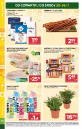 Gazetka promocyjna Stokrotka - Supermarket - Gazetka - ważna od 26.11 do 26.11.2025 - strona 4 - produkty: Warzywa, Cukier, Parówki, Parówki z szynki, Tarczyński, Owoce, Kabanos, Napój, Mięso
