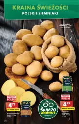 Gazetka promocyjna Biedronka - W tym tygodniu - Gazetka - ważna od 12.03 do 12.03.2022 - strona 20 - produkty: Ziemniaki, , Sałat