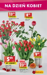 Gazetka promocyjna Biedronka - W tym tygodniu - Gazetka - ważna od 12.03 do 12.03.2022 - strona 3 - produkty: Tulipan, Róża