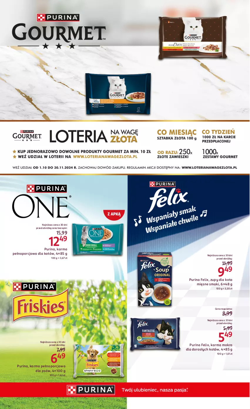 Gazetka promocyjna Rossmann - 31 października - ważna 31.10 do 15.11.2024 - strona 17 - produkty: Felix, Por, Pur, Purina