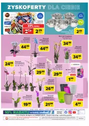 Gazetka promocyjna Carrefour - Gazetka Carrefour - Gazetka - ważna od 23.01 do 23.01.2022 - strona 41 - produkty: Cukier, O nas, Wawel, Storczyk, Cukierki, Nawóz, Osłonka