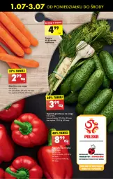 Gazetka promocyjna Biedronka - Od poniedzialku - Gazetka - ważna od 06.07 do 06.07.2024 - strona 21 - produkty: Noż, Ogórek, Grunt