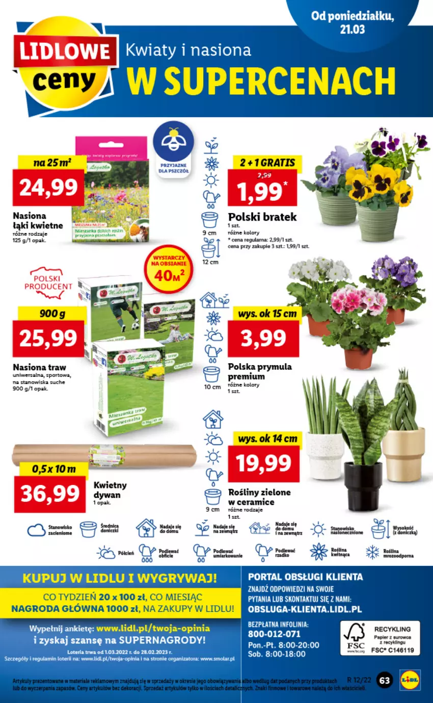 Gazetka promocyjna Lidl - GAZETKA - ważna 21.03 do 23.03.2022 - strona 63 - produkty: Dywan, Gra, Gry, Mola, Papier, Por, Portal, Prymula, Sport