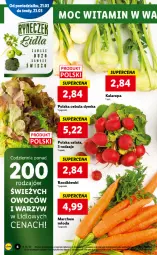 Gazetka promocyjna Lidl - GAZETKA - Gazetka - ważna od 23.03 do 23.03.2022 - strona 6 - produkty: Cebula, Por, Sałat