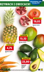 Gazetka promocyjna Lidl - GAZETKA - Gazetka - ważna od 23.03 do 23.03.2022 - strona 7 - produkty: Gra, Granat, Ananas, Fa