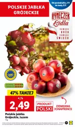 Gazetka promocyjna Lidl - GAZETKA - Gazetka - ważna od 09.11 do 09.11.2022 - strona 17 - produkty: Jabłka