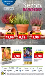 Gazetka promocyjna Lidl - GAZETKA - Gazetka - ważna od 21.09 do 21.09.2022 - strona 56 - produkty: Sok, Por, Cień, O nas