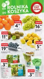 Gazetka promocyjna Intermarche - Gazetka - ważna od 14.02 do 14.02.2024 - strona 3 - produkty: Por, Borówka, Borówka amerykańska, Pomarańcze, Sałat, Wino, Masło, Szpinak