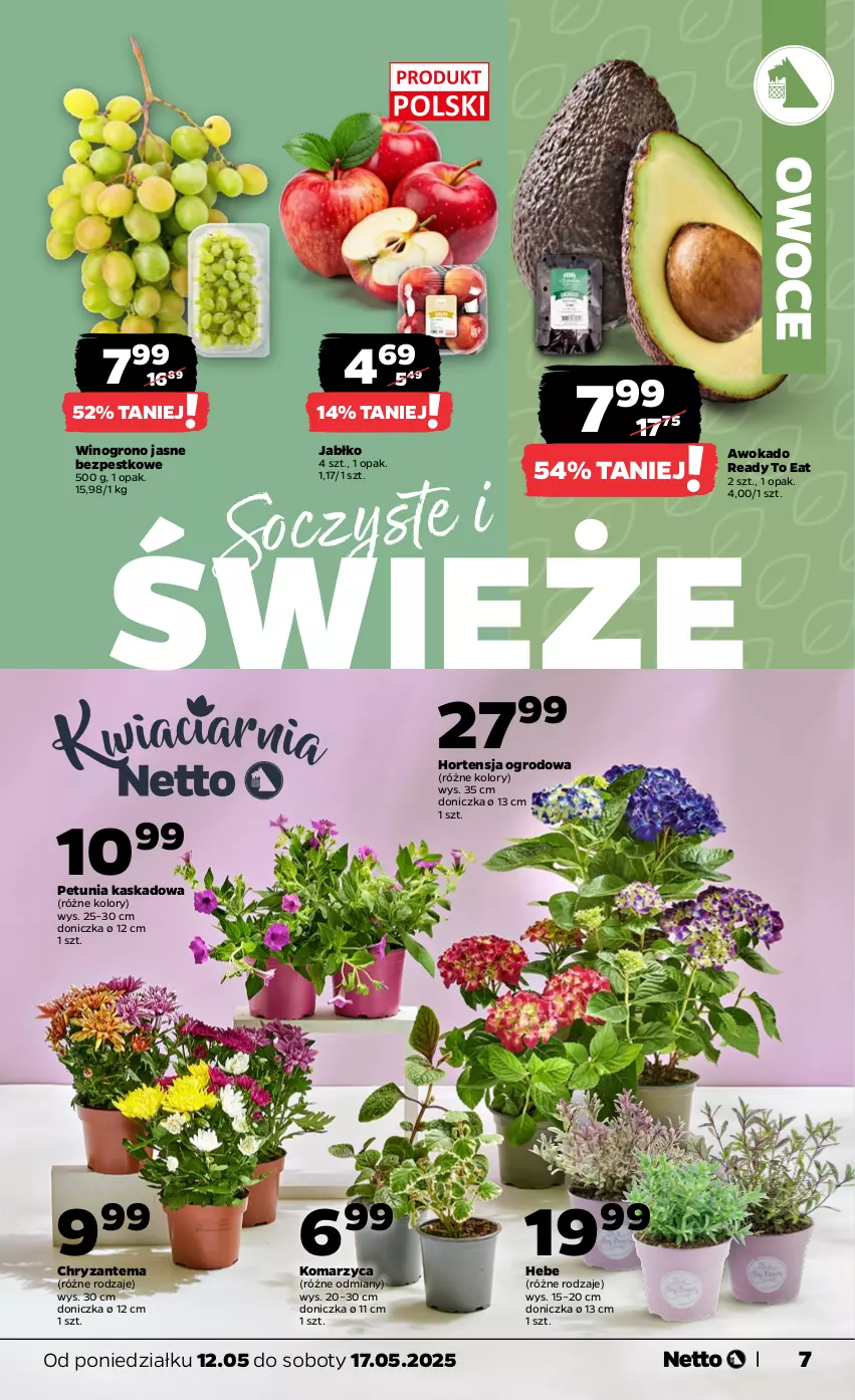 Gazetka promocyjna Netto - Od Poniedziałku - ważna 12.05 do 17.05.2025 - strona 7 - produkty: Chryzantema, Kask, Owoce, Wino