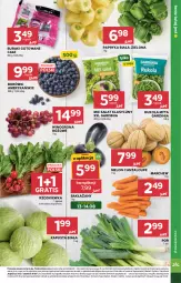 Gazetka promocyjna Stokrotka - Market - Gazetka - ważna od 19.08 do 19.08.2026 - strona 15 - produkty: Warzywa, Por, Gra, Papryka, Rukola, Papryka biała, Sałat, Optima, Winogrona, Buraki, Owoce, Wino, Rzodkiewka, Melon, Mięso