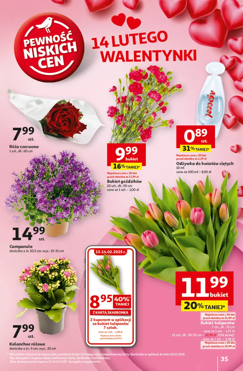 Gazetka promocyjna Auchan - z MAŁĄ CENKĄ dźwigniesz więcej! Hipermarket - ważna 13.02 do 19.02.2025 - strona 37 - produkty: Bukiet, Campanula, Kalanchoe, Odżywka, Róża