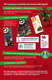 Gazetka promocyjna Auchan - z MAŁĄ CENKĄ dźwigniesz więcej! Hipermarket - Gazetka - ważna od 19.02 do 19.02.2025 - strona 39 - produkty: Por, Tran, Sport, Bukiet, Fa