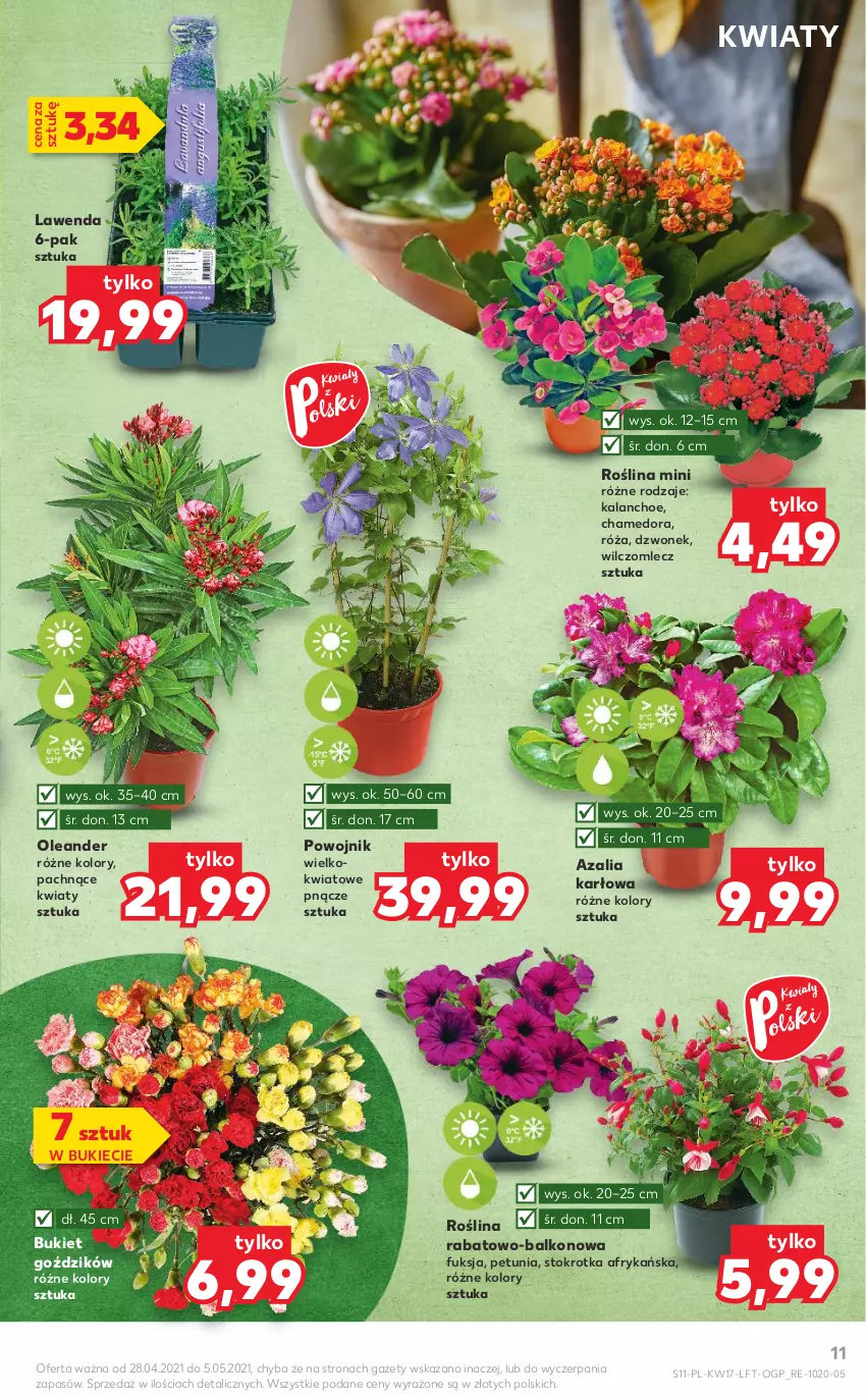 Gazetka promocyjna Kaufland - OFERTA TYGODNIA - ważna 28.04 do 05.05.2021 - strona 11 - produkty: Bukiet, Dzwonek, Kalanchoe, Róża