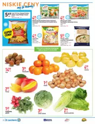 Gazetka promocyjna E Leclerc - Gazetka - ważna od 30.01 do 30.01.2022 - strona 28 - produkty: Mandarynki, Pierogi, Cebula, Marchewka, Ser, Gin, Sałata lodowa, Zupa, Bonduelle, Cytryny, McCain, Bukiet warzyw, Sałat, Bukiet, Frytki, Mango, Ogród, Rzodkiewka, Liczi, Hortex, Fa