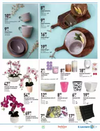 Gazetka promocyjna E Leclerc - Gazetka - ważna od 30.01 do 30.01.2022 - strona 7 - produkty: Kominek, Rust, Bols, Bolsius, Podgrzewacze, Talerz, Storczyk, Taboret, Filiżanka, Kubek, Flora, Poduszka, Mango, Miska, Osłonka