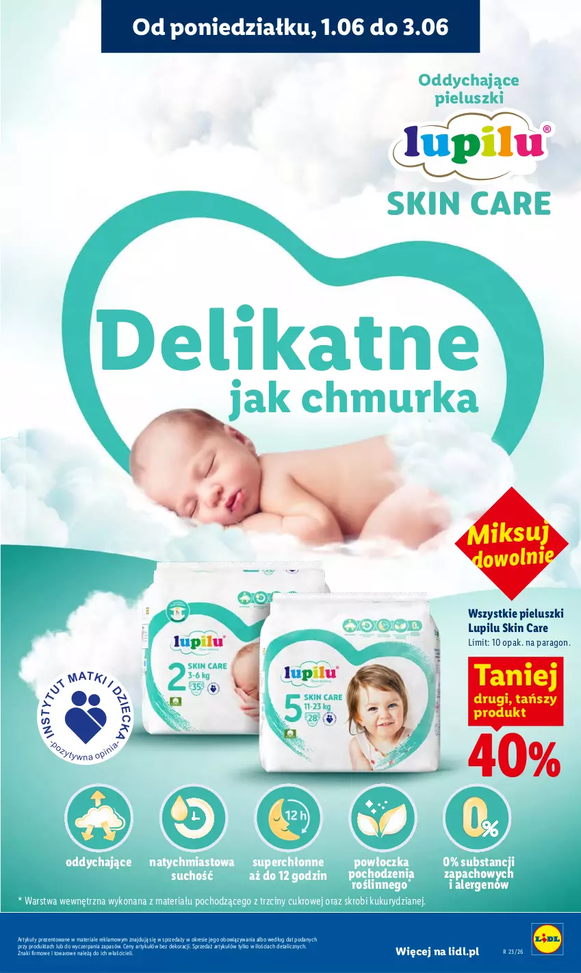 Gazetka promocyjna Lidl - Gazetka ważna od 1.06 do 3.06 - ważna 01.06 do 03.06.2026 - strona 101