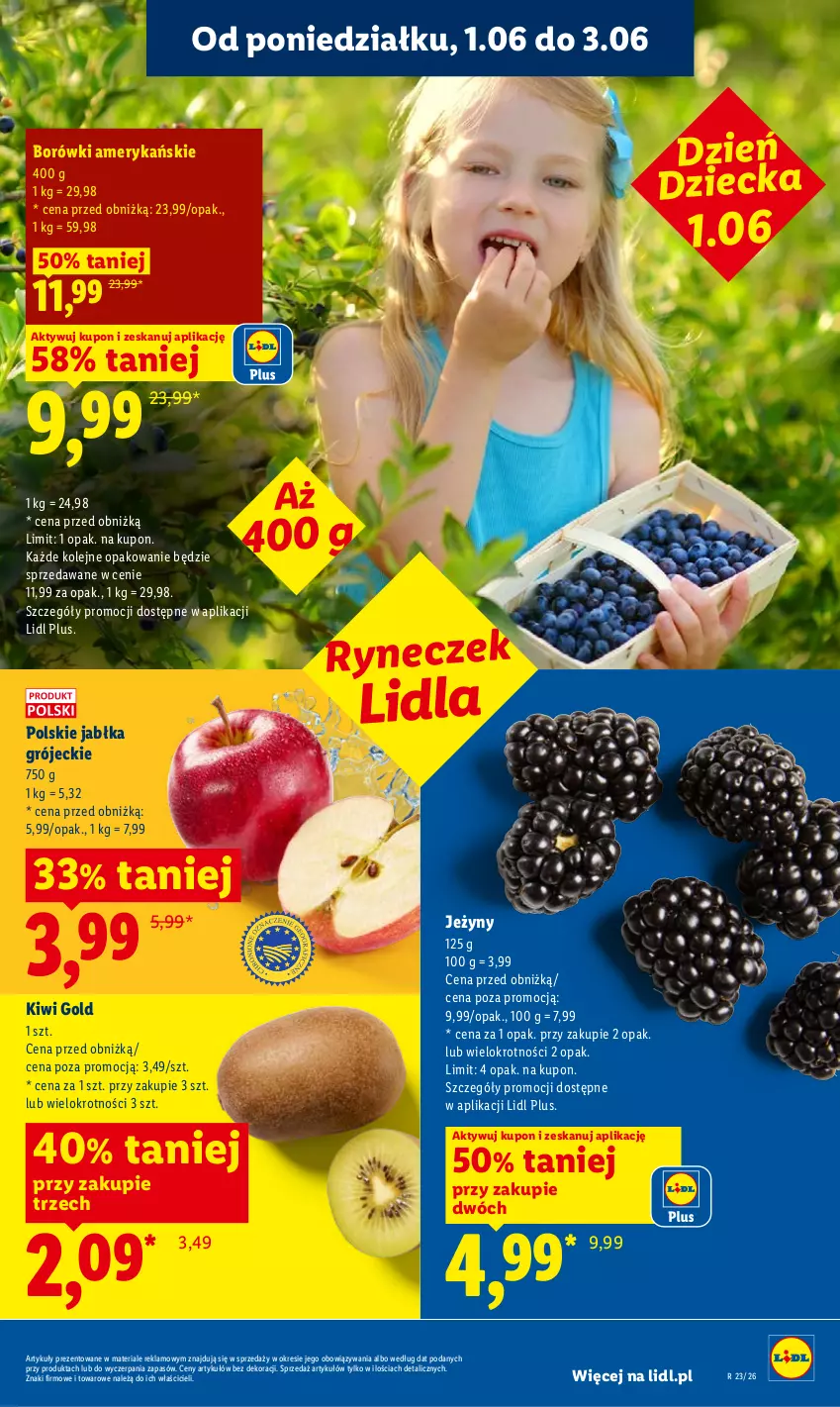 Gazetka promocyjna Lidl - Gazetka ważna od 1.06 do 3.06 - ważna 01.06 do 03.06.2026 - strona 45 - produkty: Jabłka, Jeżyny, Kiwi, Olej