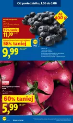 Gazetka promocyjna Lidl - Gazetka ważna od 1.06 do 3.06 - Gazetka - ważna od 03.06 do 03.06.2026 - strona 6 - produkty: Olej, Pomidory