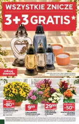 Gazetka promocyjna Stokrotka - Market - Gazetka - ważna od 28.10 do 28.10.2026 - strona 2 - produkty: Warzywa, Gra, Chryzantema, Optima, Znicz, Owoce, Mięso