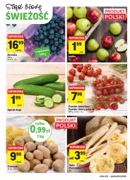 Gazetka promocyjna Intermarche - Gazetka promocyjna - Gazetka - ważna od 22.11 do 22.11.2021 - strona 8 - produkty: Pietruszka, Borówka, Ogórek