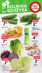 Gazetka promocyjna Intermarche - Gazetka Intermarche - Gazetka - ważna od 29.11 do 29.11.2023 - strona 26 - produkty: Ogórek, Czosnek, Siatka, Sałat, Seler naciowy, Natka pietruszki, Imbir