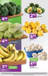 Gazetka promocyjna Stokrotka - Stokrotka Express - Gazetka - ważna od 12.11 do 12.11.2025 - strona 2 - produkty: Piec, Banany, Warzywa, Cytryny, Owoce, Mięso, LG