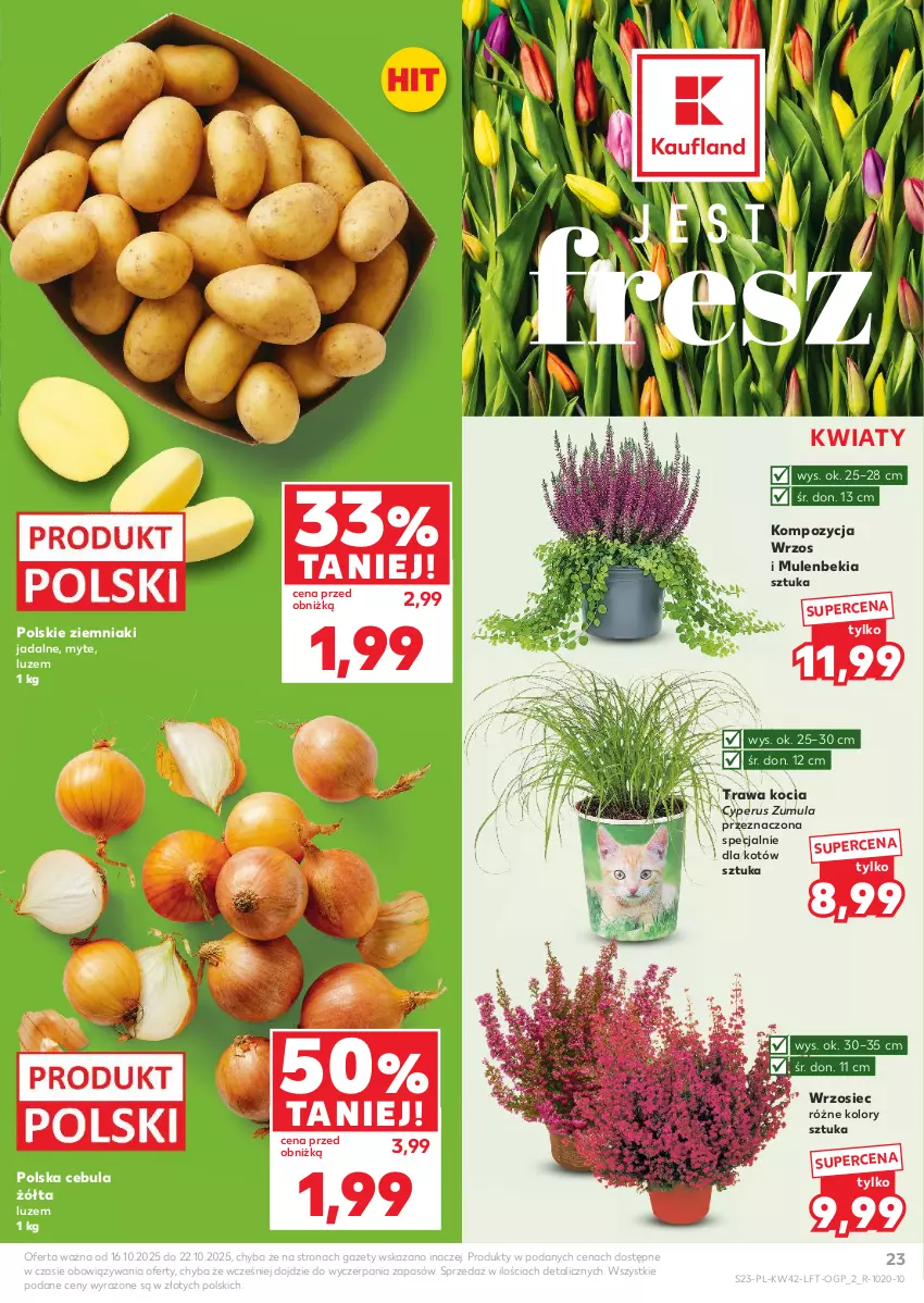 Gazetka promocyjna Kaufland - Gazetka tygodnia - ważna 16.10 do 22.10.2025 - strona 23 - produkty: Cebula, Koc, Mule, Ziemniaki