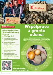 Gazetka promocyjna Kaufland - Gazetka tygodnia - Gazetka - ważna od 22.10 do 22.10.2025 - strona 22 - produkty: Warzywa, Sok, Gra, O nas, Grunt, NOWAK, LG