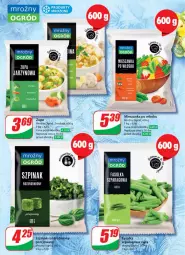 Gazetka promocyjna Dino - Gazetka 31 / 2024 - Gazetka - ważna od 06.08 do 06.08.2024 - strona 23 - produkty: Por, Zupa, Ogród, Szpinak, Fa